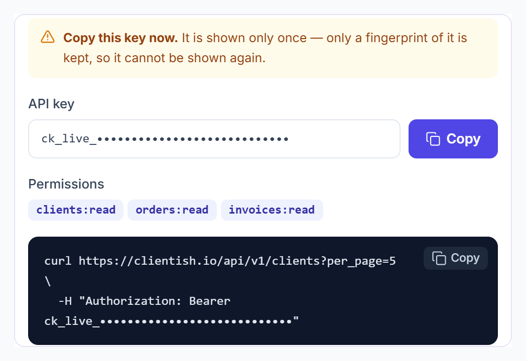 Clientish API key shown once, with its permissions and an example request