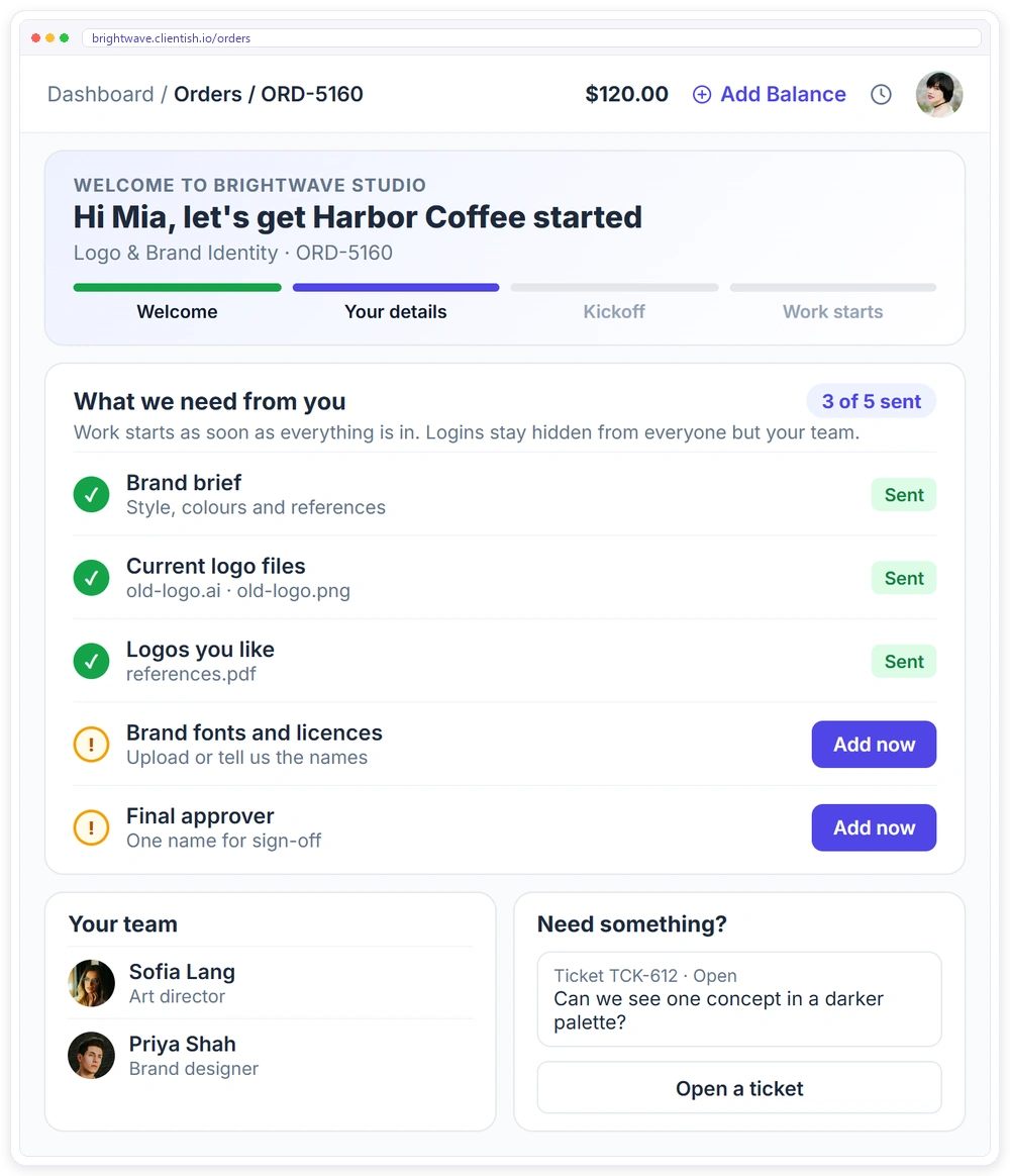 Onboarding in the Clientish client portal for a branding client: progress, what the agency still needs from them, hidden logins, the team and a support ticket