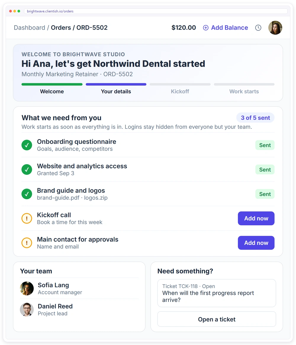 Onboarding in the Clientish client portal for a new client: progress, what the agency still needs from them, hidden logins, the team and a support ticket