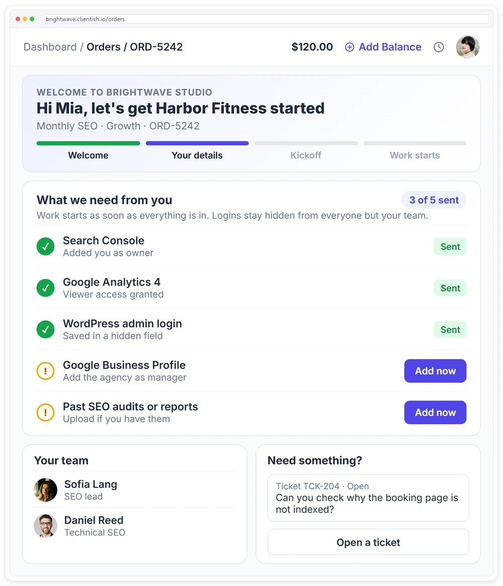 Onboarding in the Clientish client portal for an SEO client: progress, what the agency still needs from them, hidden logins, the team and a support ticket